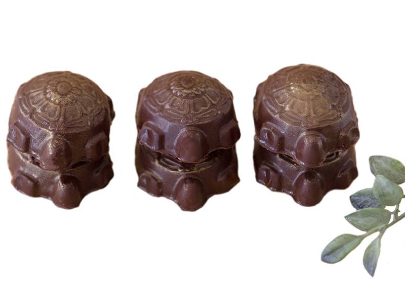 Chocolate Pecan Turtles - 6-Piece
